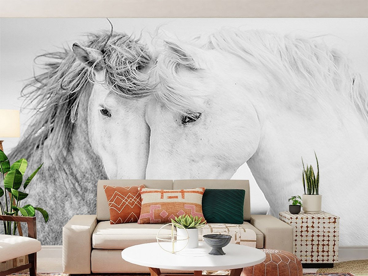 Wallpaper #8h2ULJMBlOZrFDOkIMqE288 Two Beautiful White Horses Wallpapers Wallkalakar Wallpaper Wallart