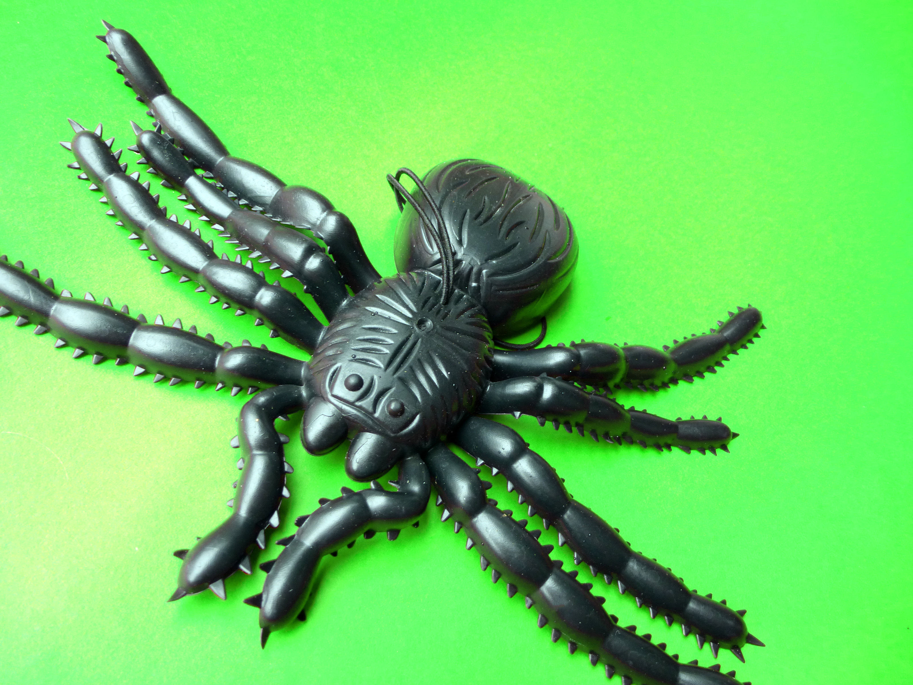 Wallpaper #-vQcOpMBKFX8bn3rt3dJ32 Image of Black Plastic Spider Toy on Green Background