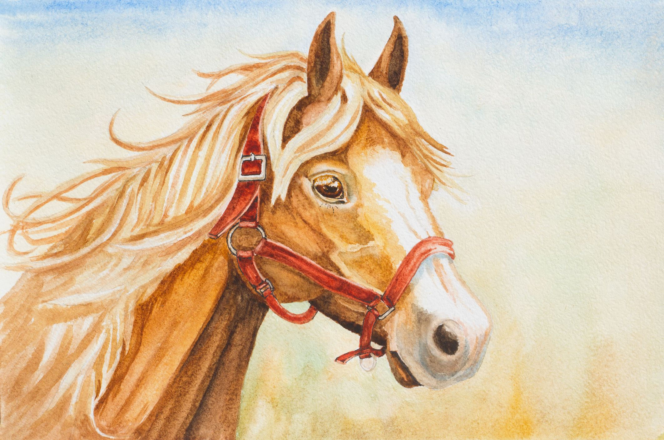 Wallpaper #MX1i8I4Bnwiau_P6ugZV28 Horse Painting Watercolor Step by Step Demo