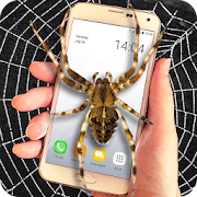 Wallpaper #e5xv4ZIBZHQxiYariLuX274 Spider on Screen Prank Apps on Google Play