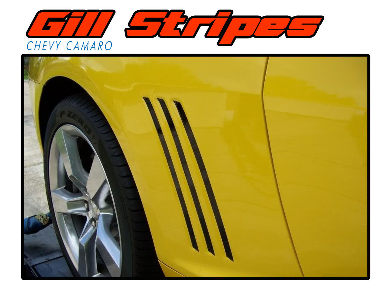 Wallpaper #vVMbNZMBYjRkjcHsSejb267 Gill Stripes Camaro Stripes Camaro Decals Camaro Vinyl Graphics