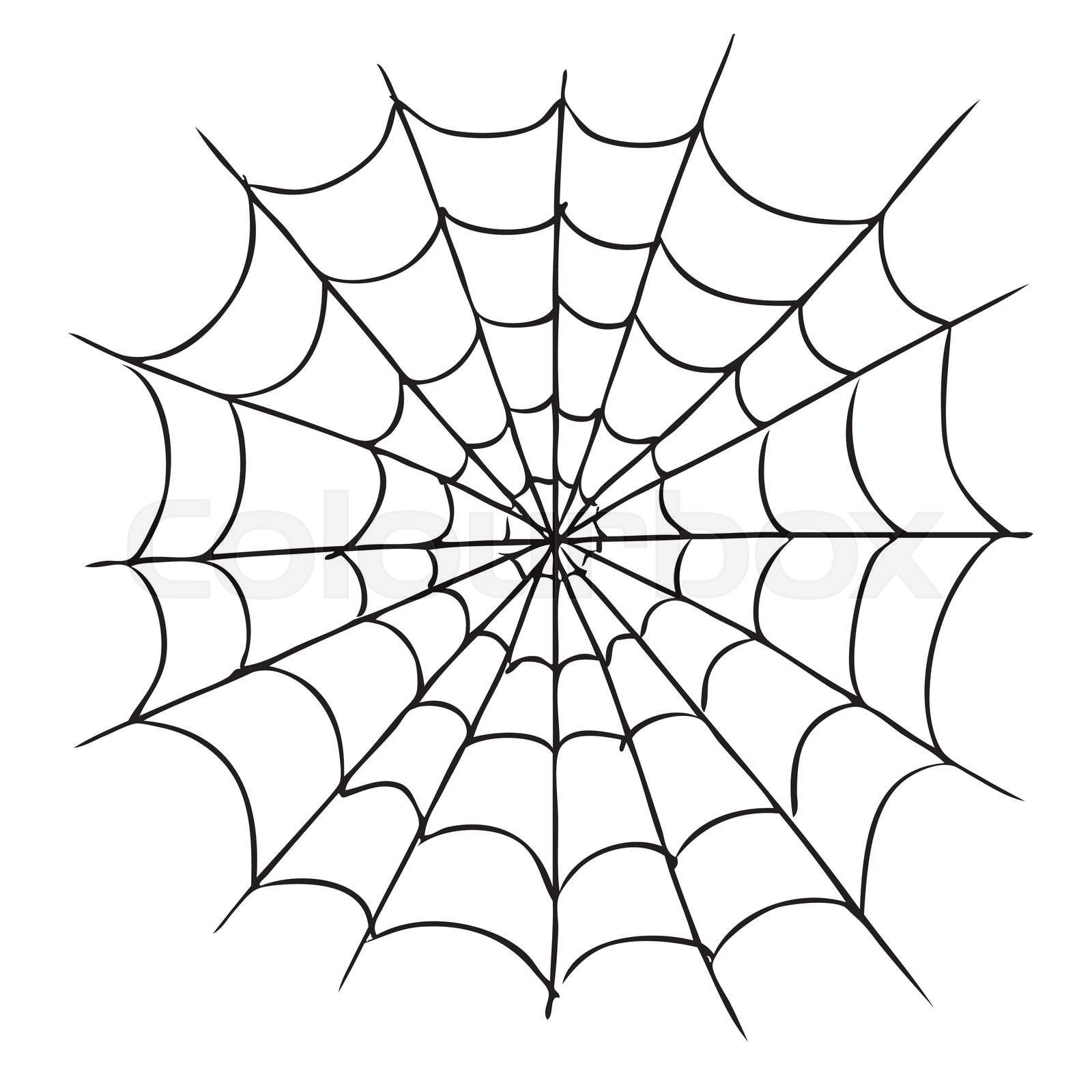 Wallpaper #cGgHF5MBSpphPi3-TQ0z100 Spider Web Stock Vector Colourbox
