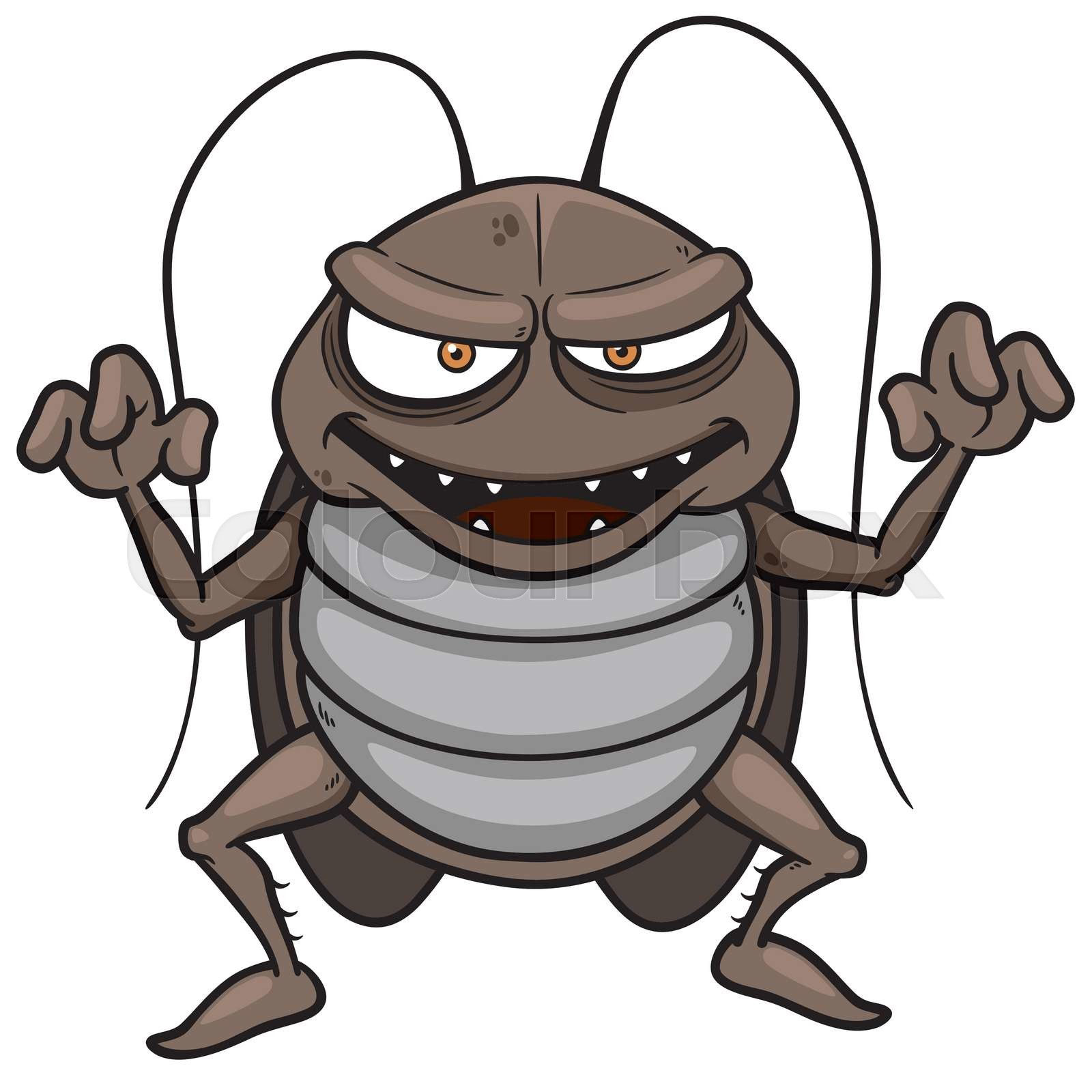 Wallpaper #SWdXCpMBSpphPi3-q9Qk145 Cockroach Stock Vector Colourbox