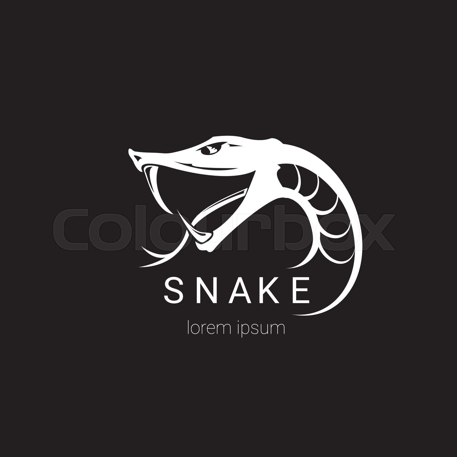 Wallpaper #v2hzG5MBSpphPi3-oh8h194 Vector Snake Simple Logo Design Element Stock Vector Colourbox