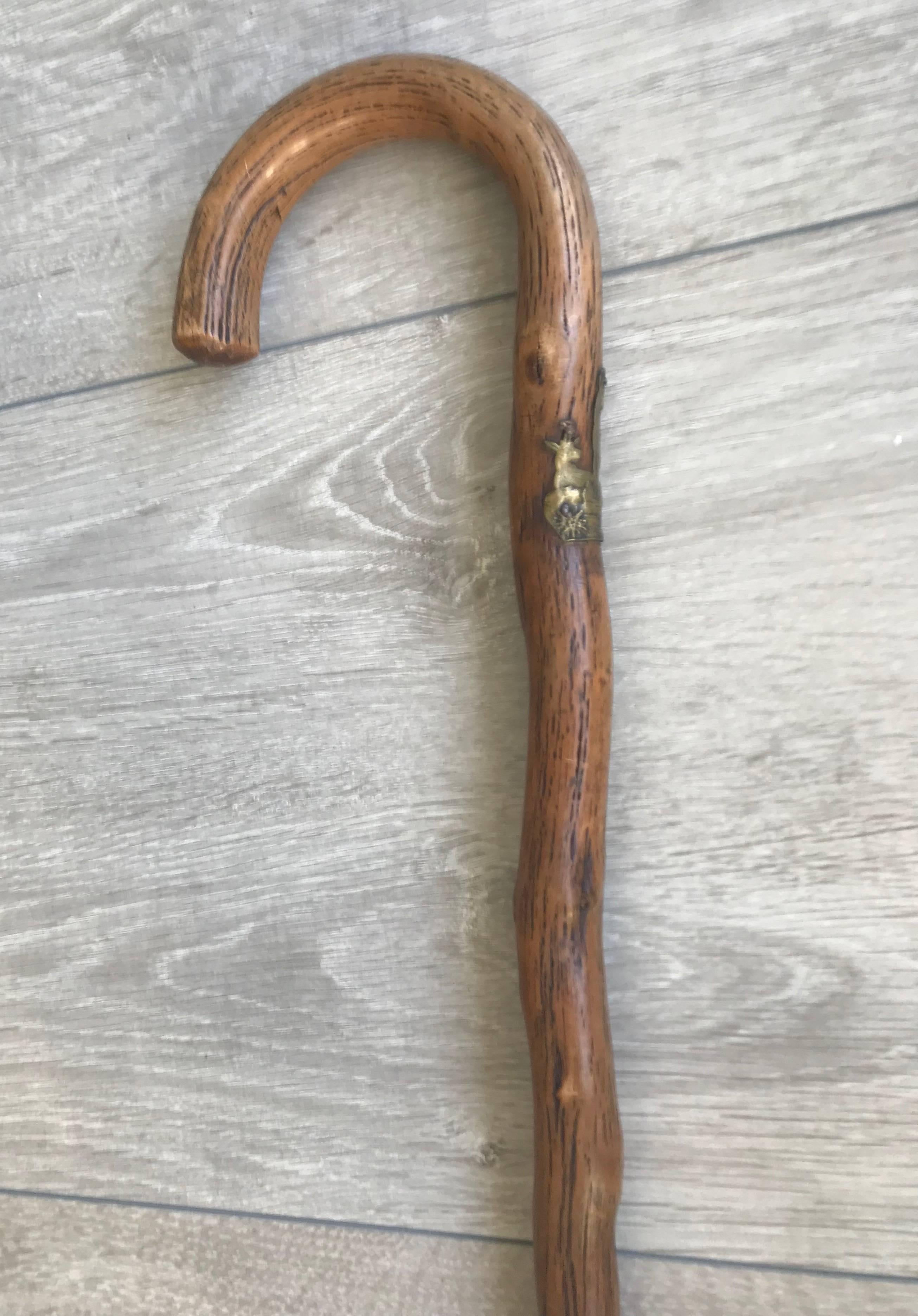 Wallpaper #ERDMYZMBgfYVyjoKVhw-349 Antique and Strong Real Branch Wood Walking Stick or Cane at 1stdibs