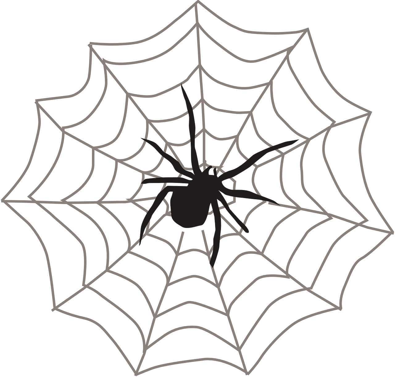 Wallpaper #52dP85IBSpphPi3-BnRA86 Download Spider Web Black Arachnid Royalty Free Vector Graphic Pixabay