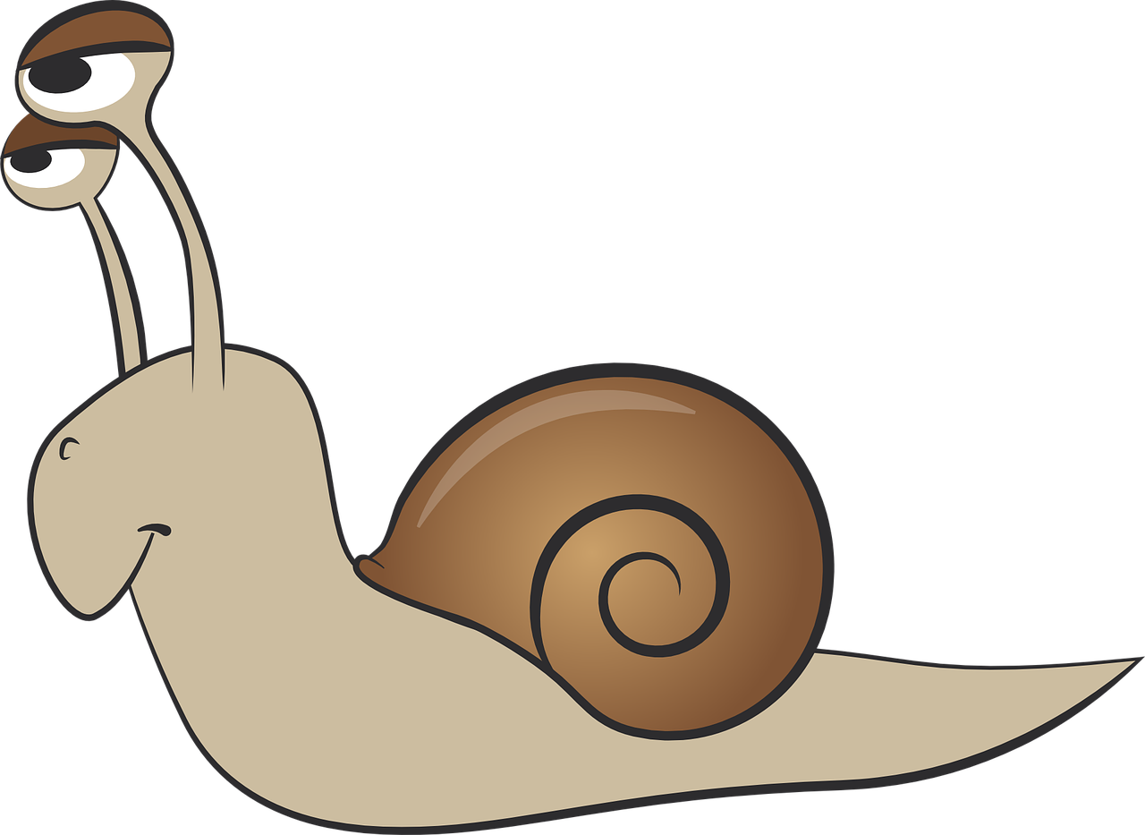 Wallpaper #7DE0NZMB5zzyi_yYk1WD415 Snail Shell Mollusk Free Vector Graphic on Pixabay