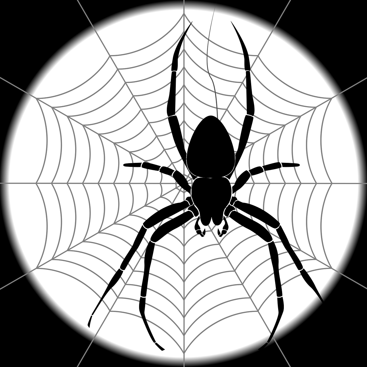 Wallpaper #52dP85IBSpphPi3-BnRA7 Download Spider Web Spider Web Royalty Free Vector Graphic Pixabay