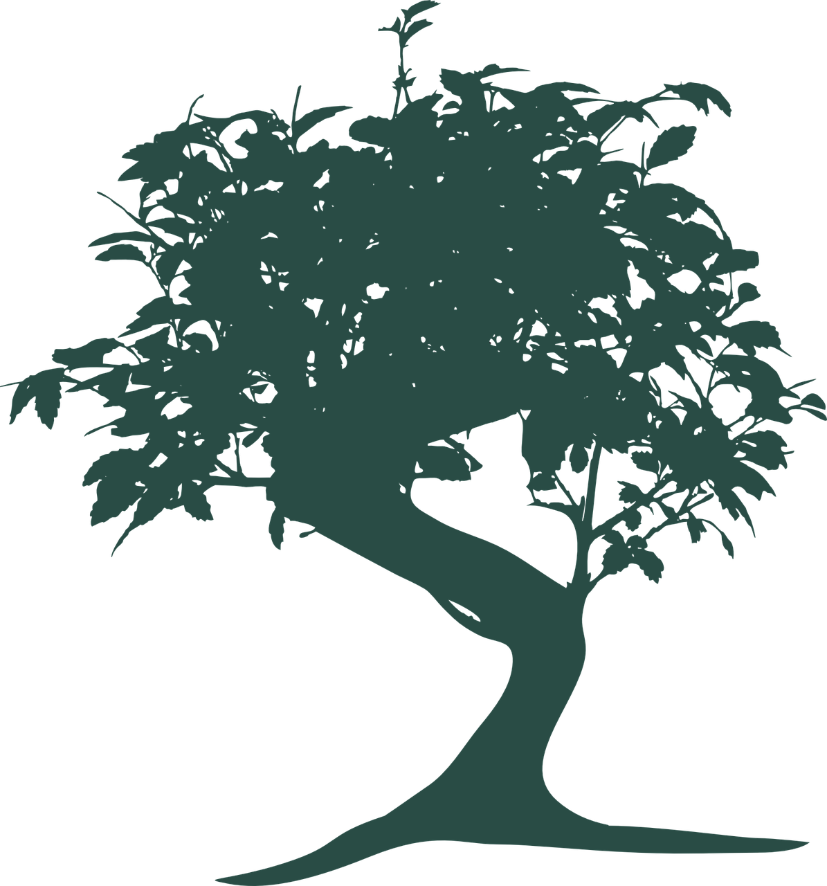 Wallpaper #jWdLE5MBSpphPi3-Rv-o265 Download Bonsai Tree Nature Royalty Free Vector Graphic Pixabay