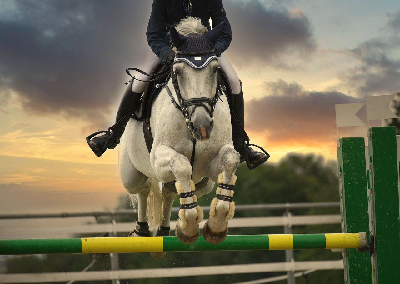 Wallpaper #Gx2aLJMBlOZrFDOk68sw210 Equestrian Jumping Photography