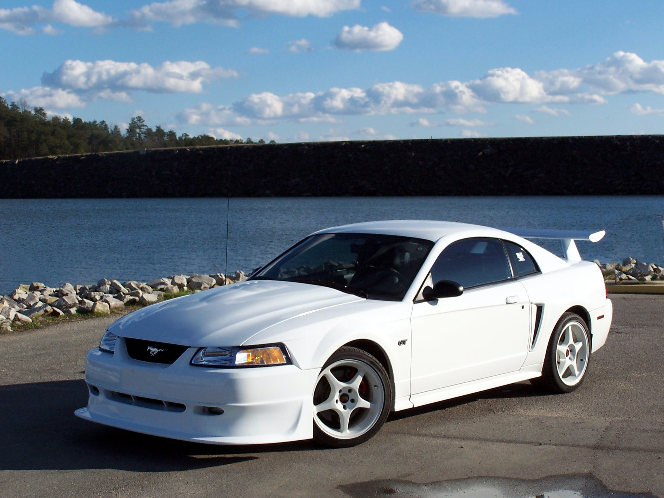 Wallpaper #LSwnSZMB0E1QgA7wUvIZ156 Lets Take a Moment to Remember the 2000 Mustang Cobra R the Mustang
