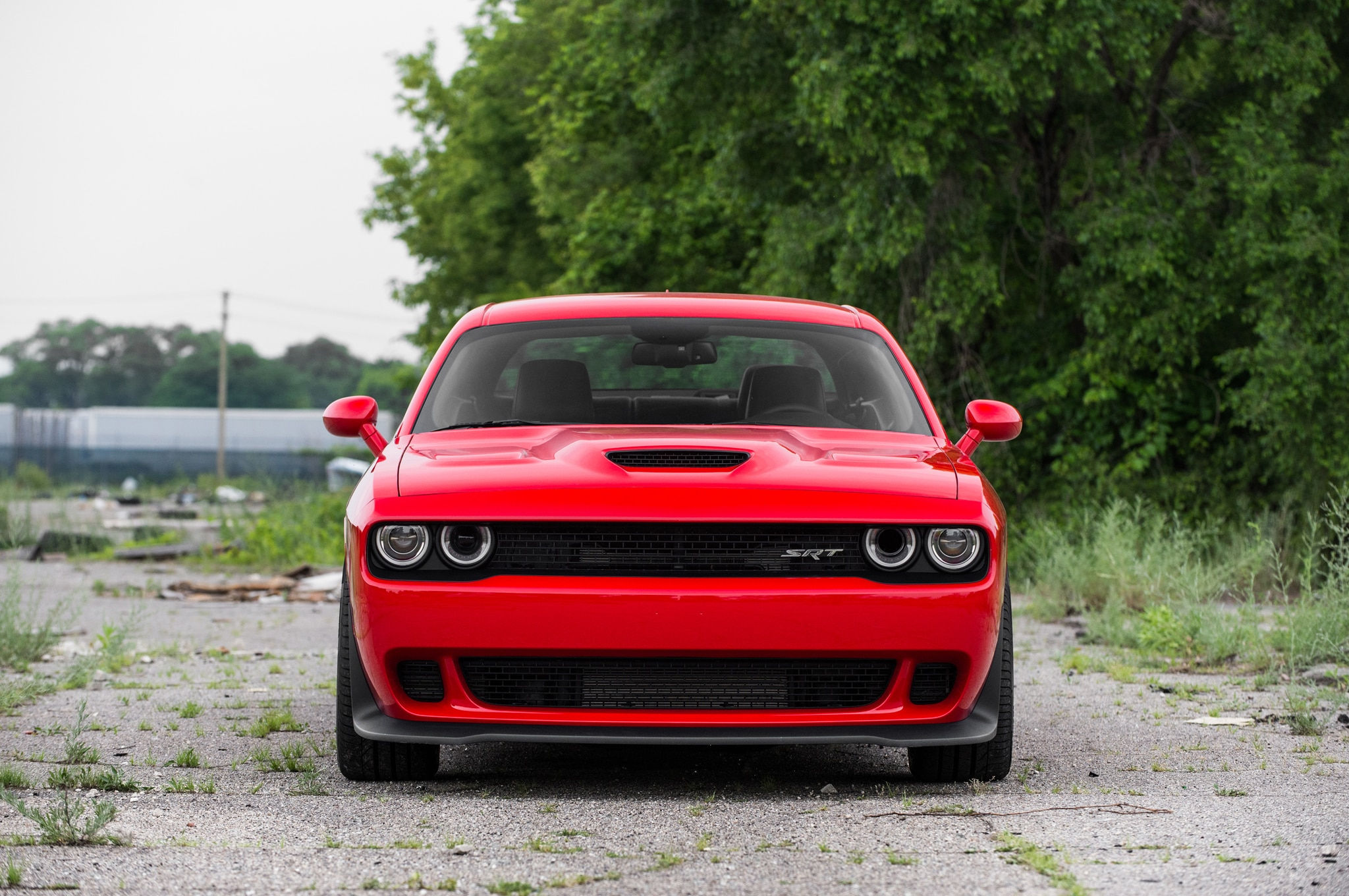 Wallpaper #Lmfr-5IBSpphPi3-fpa816 2015 Dodge Challenger Srt Hellcat Front End 022 Motor Trend En Espanol