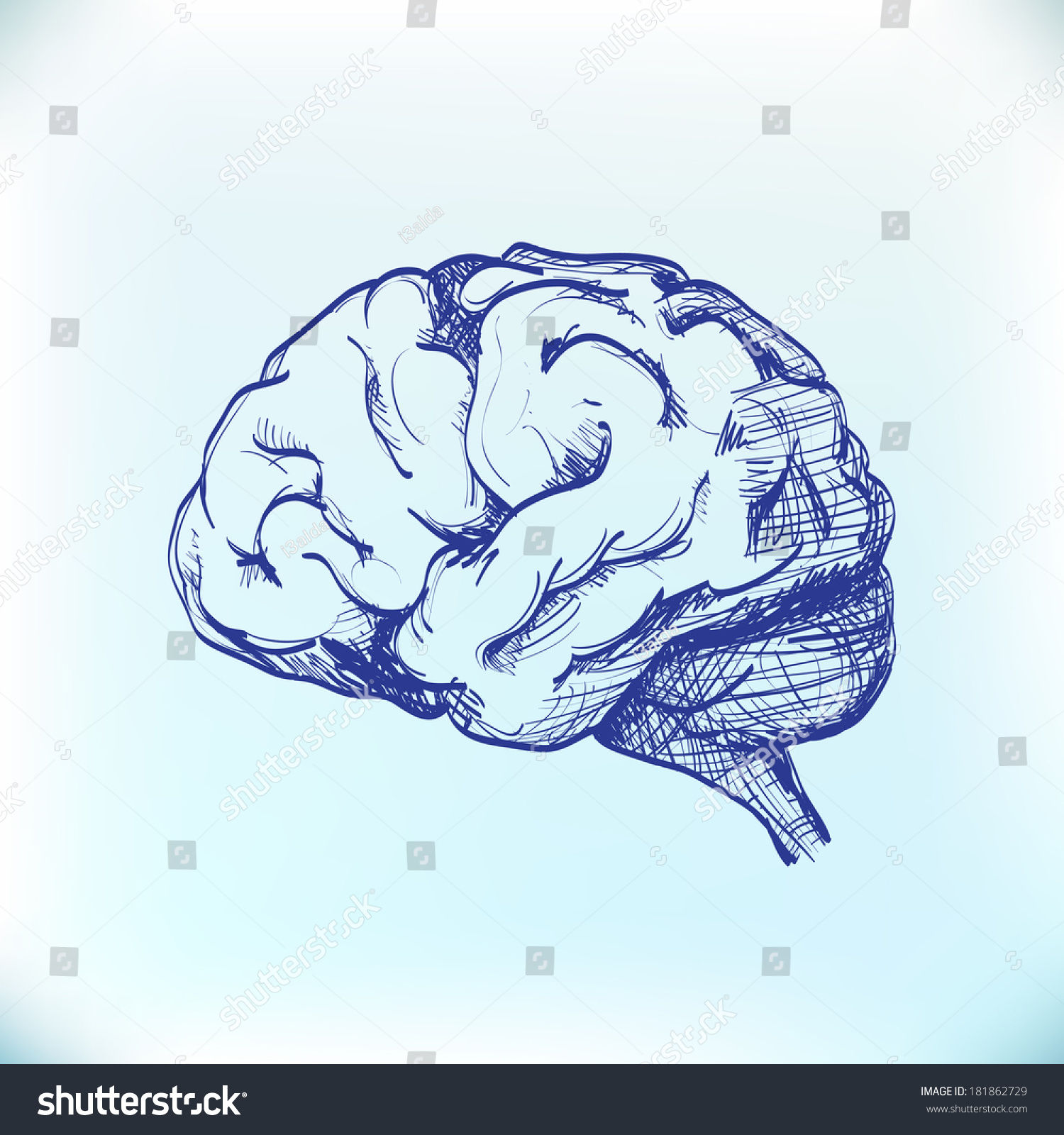 Wallpaper #WWdkEpMBSpphPi3-tvsO311 Isolated Human Brain Sketch Illustration Stock Vector 181862729