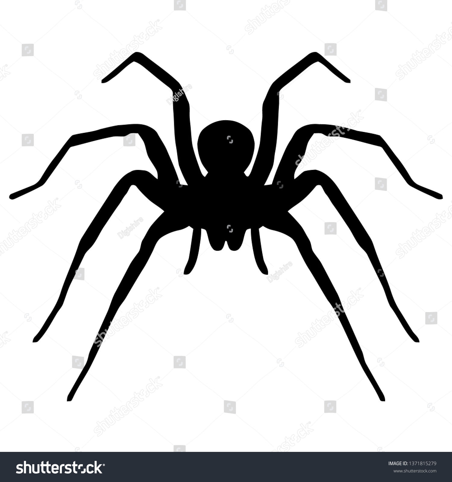 Wallpaper #46455 Brown Spider Cartoon Isolated Illustration Stock Vector Image Art Alamy