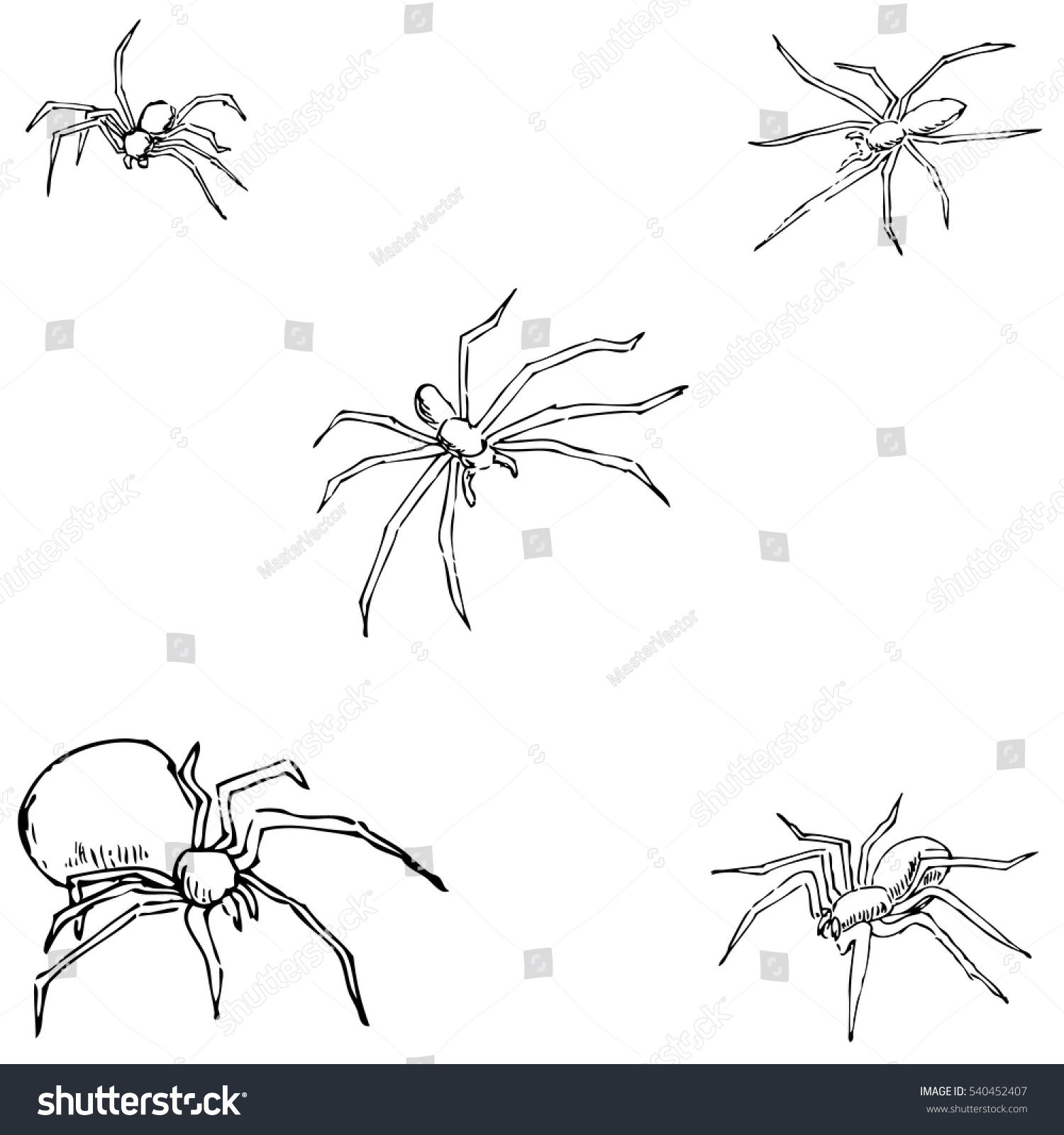 Wallpaper #O_S0OZMBKFX8bn3r9Xeu293 Spiders Sketch by Hand Pencil Drawing 540452407 Shutterstock