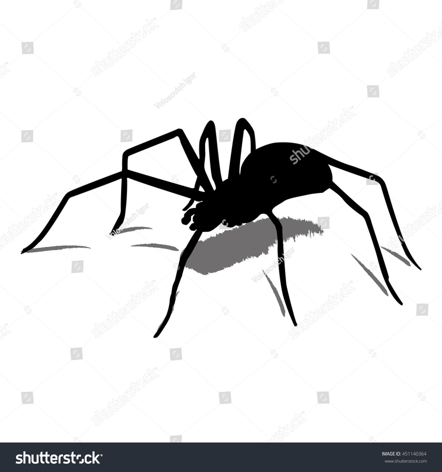 Wallpaper #n2GfLpMB3VrvfBrRMSSm157 Black Color Vector Illustration Spider No Stock Vector Royalty Free