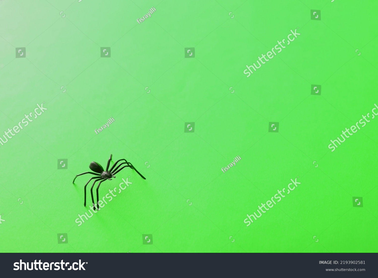 Wallpaper #HfQqOpMBKFX8bn3rhHgw114 Plastic Toy Spider Few Raised Legs Stock Photo 2193902581 Shutterstock