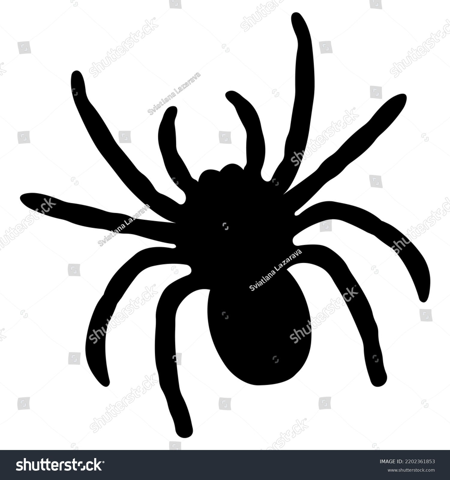 Wallpaper #RPS3OZMBKFX8bn3r6ncE270 Silhouette Black Spiderspider Closeuplarge Scary Spider Stock Vector