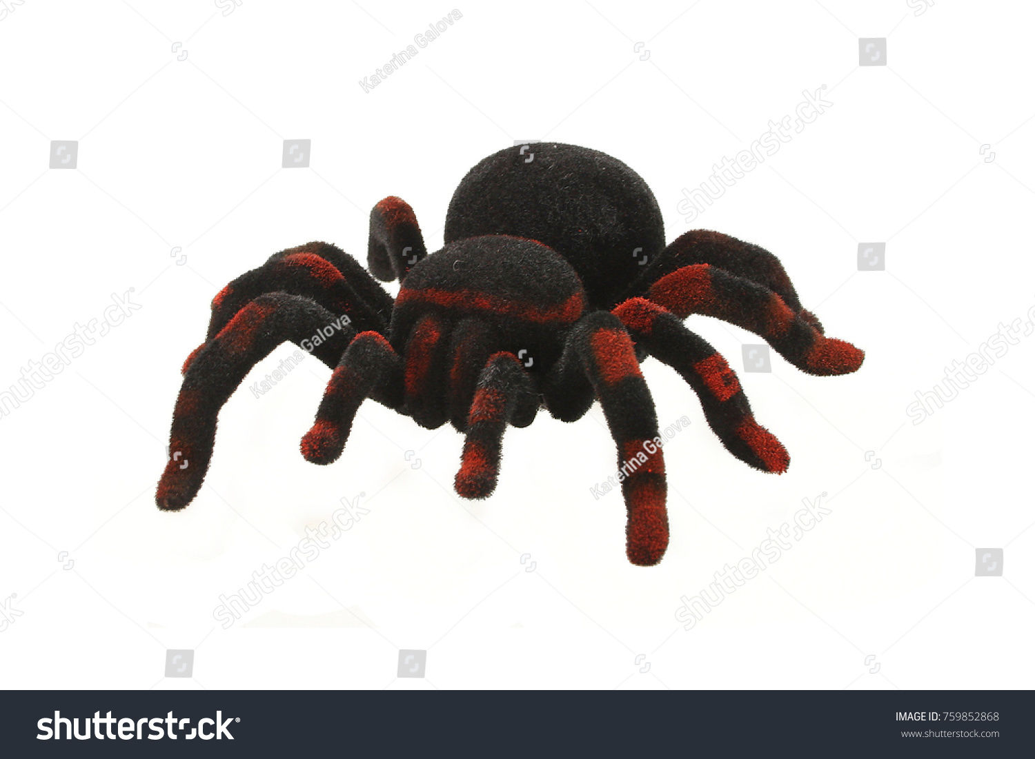 Wallpaper #GfQnOpMBKFX8bn3r3Xh868 Big Spider Toy Tarantula Black Stock Photo 759852868 Shutterstock