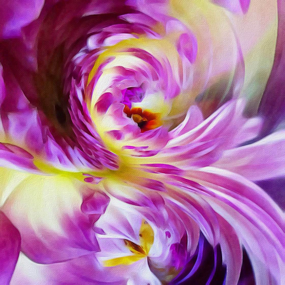 Wallpaper #52dQ-5IBSpphPi3-YpO8398 How to Create Abstract Art with Your iPhone Flower Photos