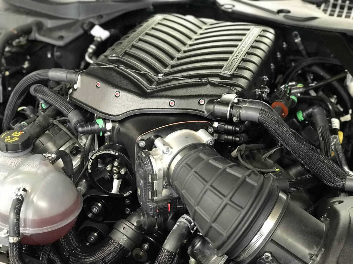 Wallpaper #2uqcVJMBlwTYPL18FgsO140 Whipple Ford Mustang Bullitt 2019 2021 Gen 5 30l Supercharger