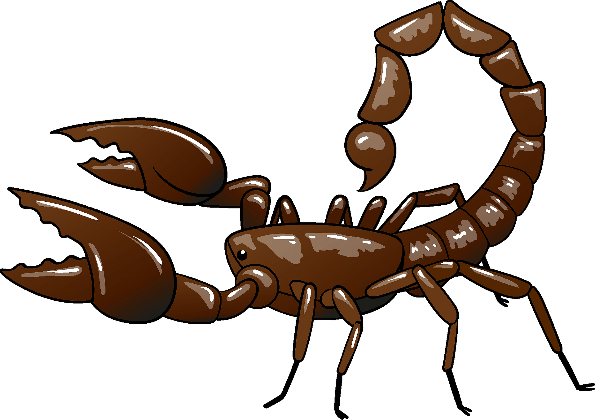 Wallpaper #YPQzOZMBKFX8bn3rnnbQ194 Scorpions Png Isolated Clipart Png Mart