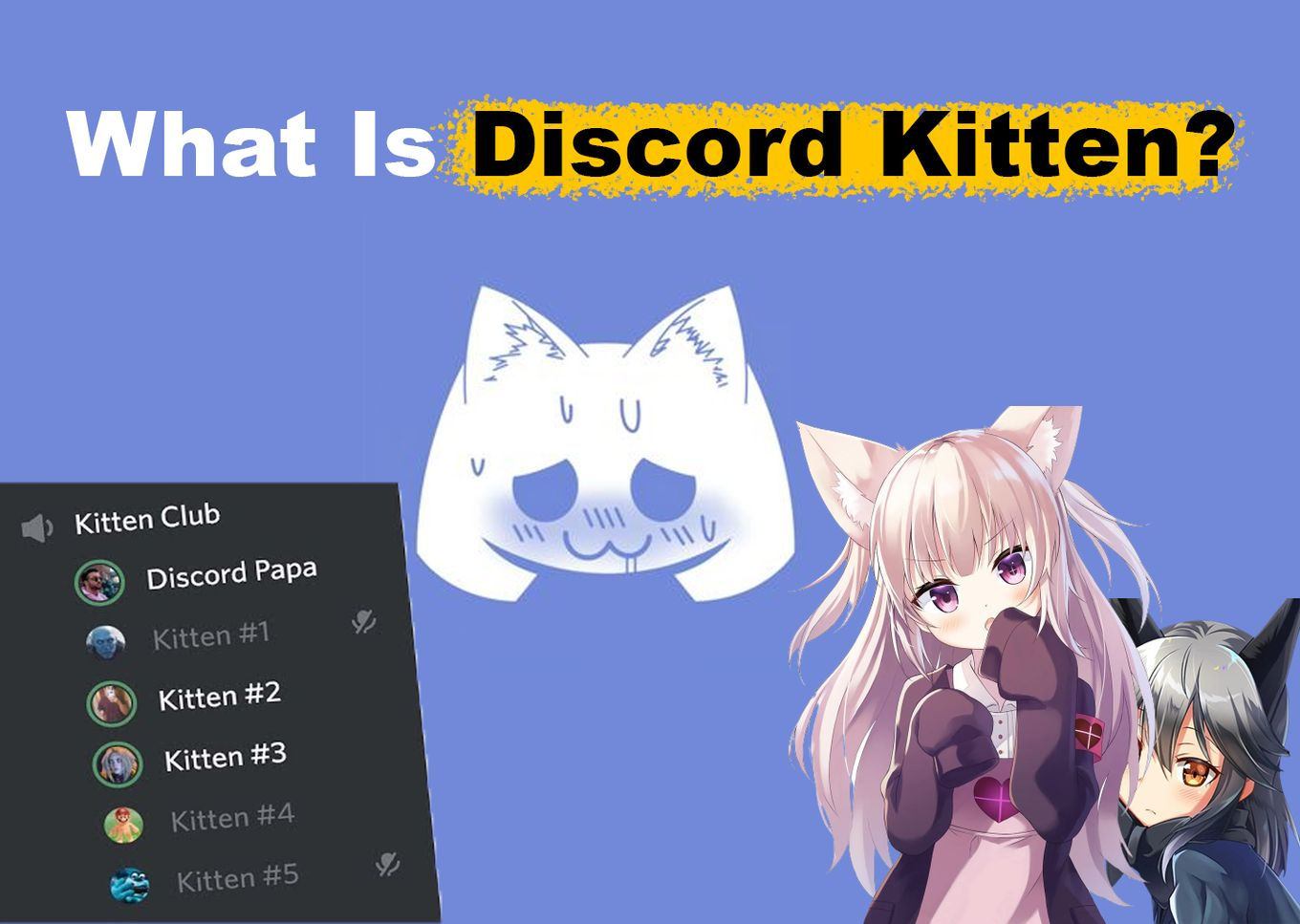 Wallpaper #UzUKkpcBk_lpvpalppRo103 Discord Kitten Explained What They Are What They Do Alvaro Trigo