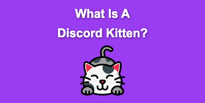 Wallpaper #i7gc2JIBJvJKYCmEL-bJ262 Discord Kitten Explained What They Are What They Do