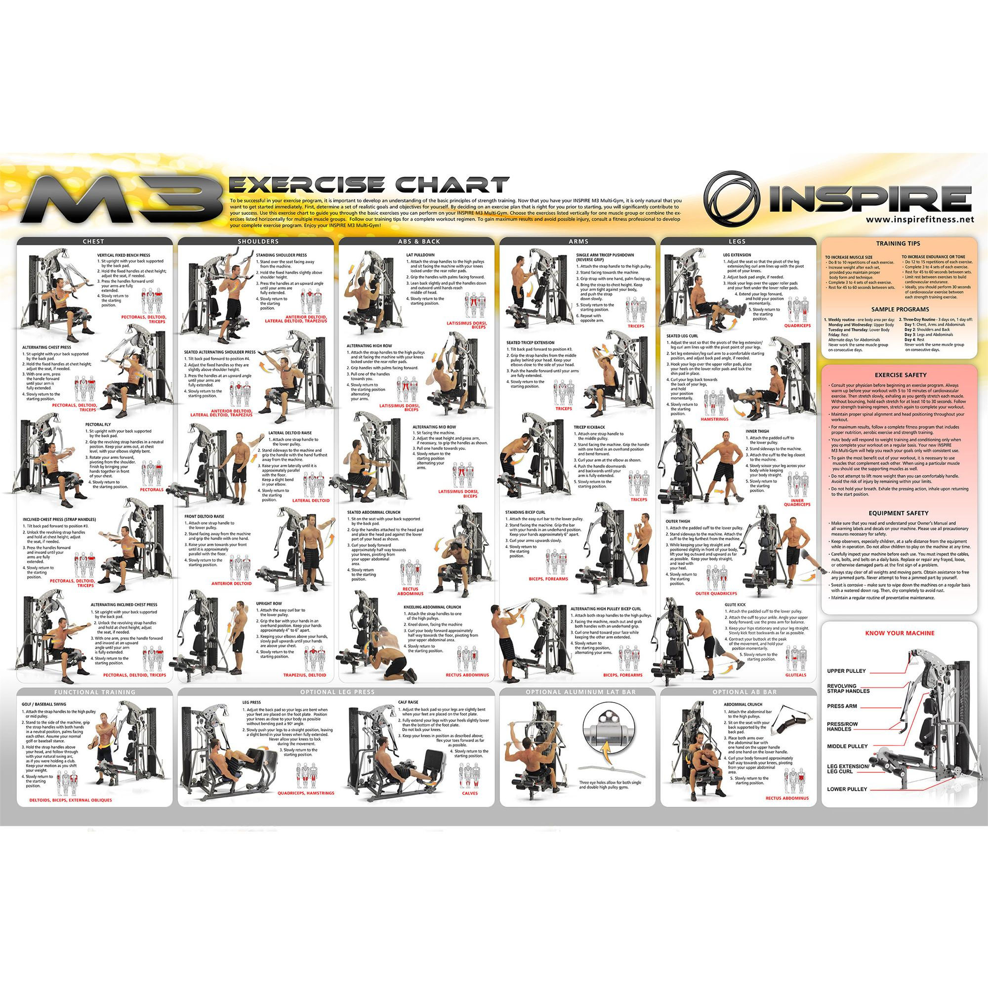 Wallpaper #FF7FB The Suspension Workout Chart Shows How to Do It and What You Can Do with It