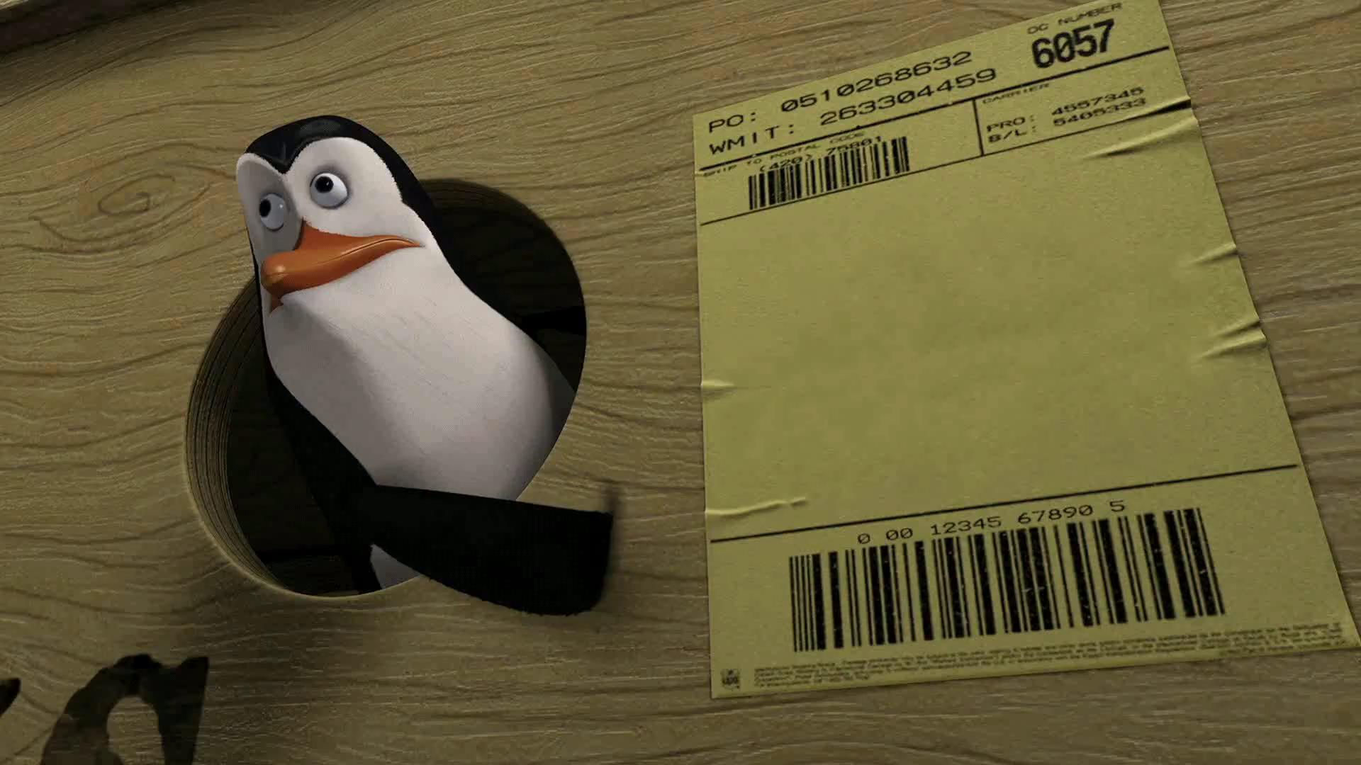 Wallpaper #ImfQBpMBSpphPi3-4cMa168 Penguin Pointing at Shipping Label Animated Gif Maker Pinata Farms
