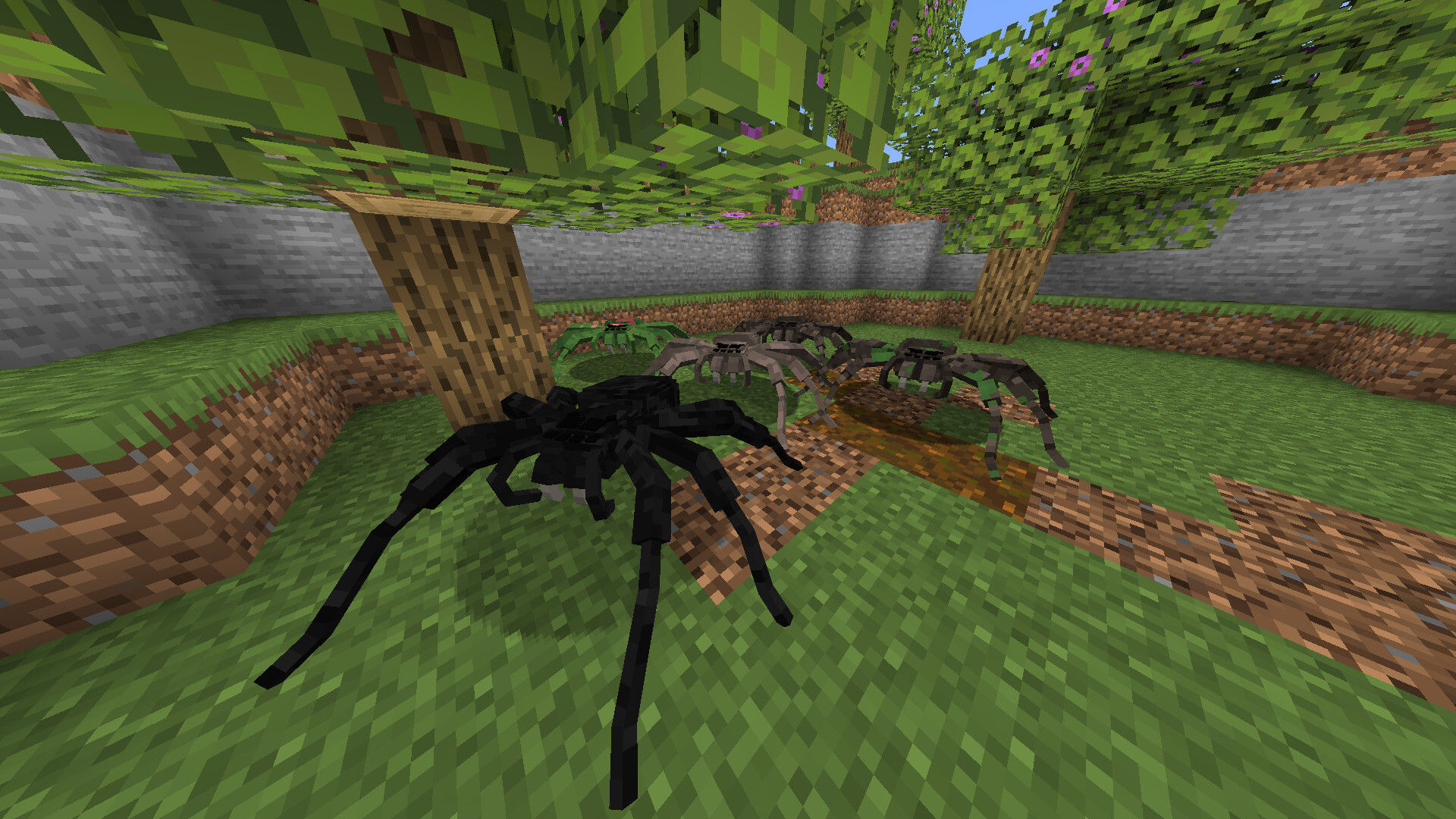 Wallpaper #nwCa6o4BSdW8dNoujg-z53 Better Spiders Minecraft Texture Pack