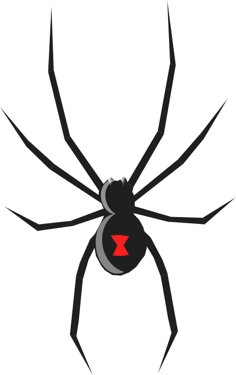 Wallpaper #71bf1 Pin by Kayleigh on Spider Drawings in 2024 Spiderman Drawing
