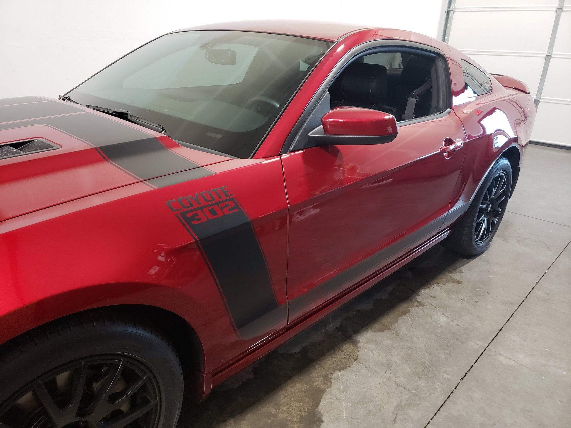 Wallpaper #RT_wO5MBLiIJ4c9Op5CH299 Gtcs Looking for Information of Hood Decals the Mustang Source