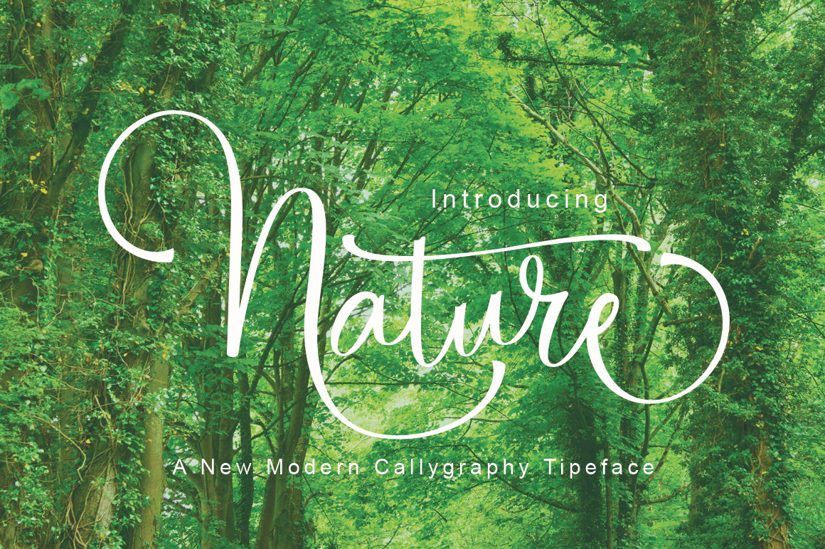 Wallpaper #HGhEGZMBSpphPi3-MRYQ317 Nature 408830 Calligraphy Font Bundles