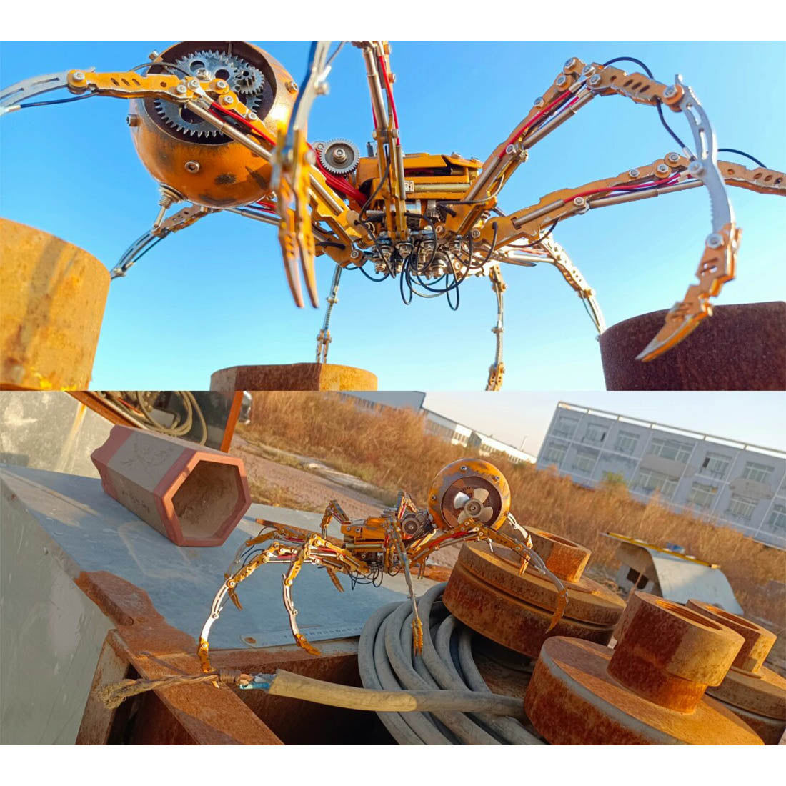 Wallpaper #wmfS65IBSpphPi3-9k4K45 Post Apocalyptic Jumping Spider Spider 3D Metal Puzzle Kits Diy Desert