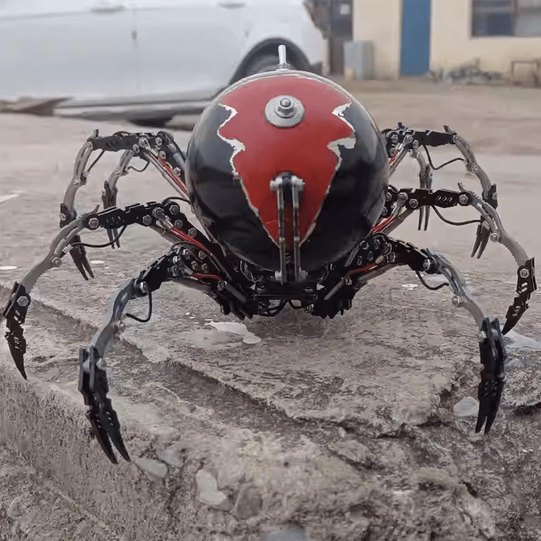 Wallpaper #wmfS65IBSpphPi3-9k4K50 Post Apocalyptic Jumping Spider Spider 3D Metal Puzzle Kits Diy Desert