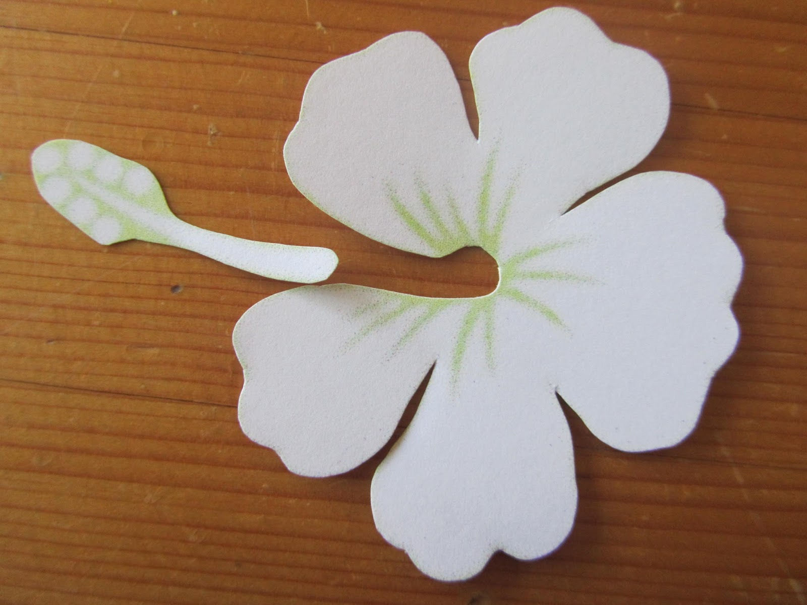 Wallpaper #8a759 Printable Downloadable Free Cricut Paper Flower Template