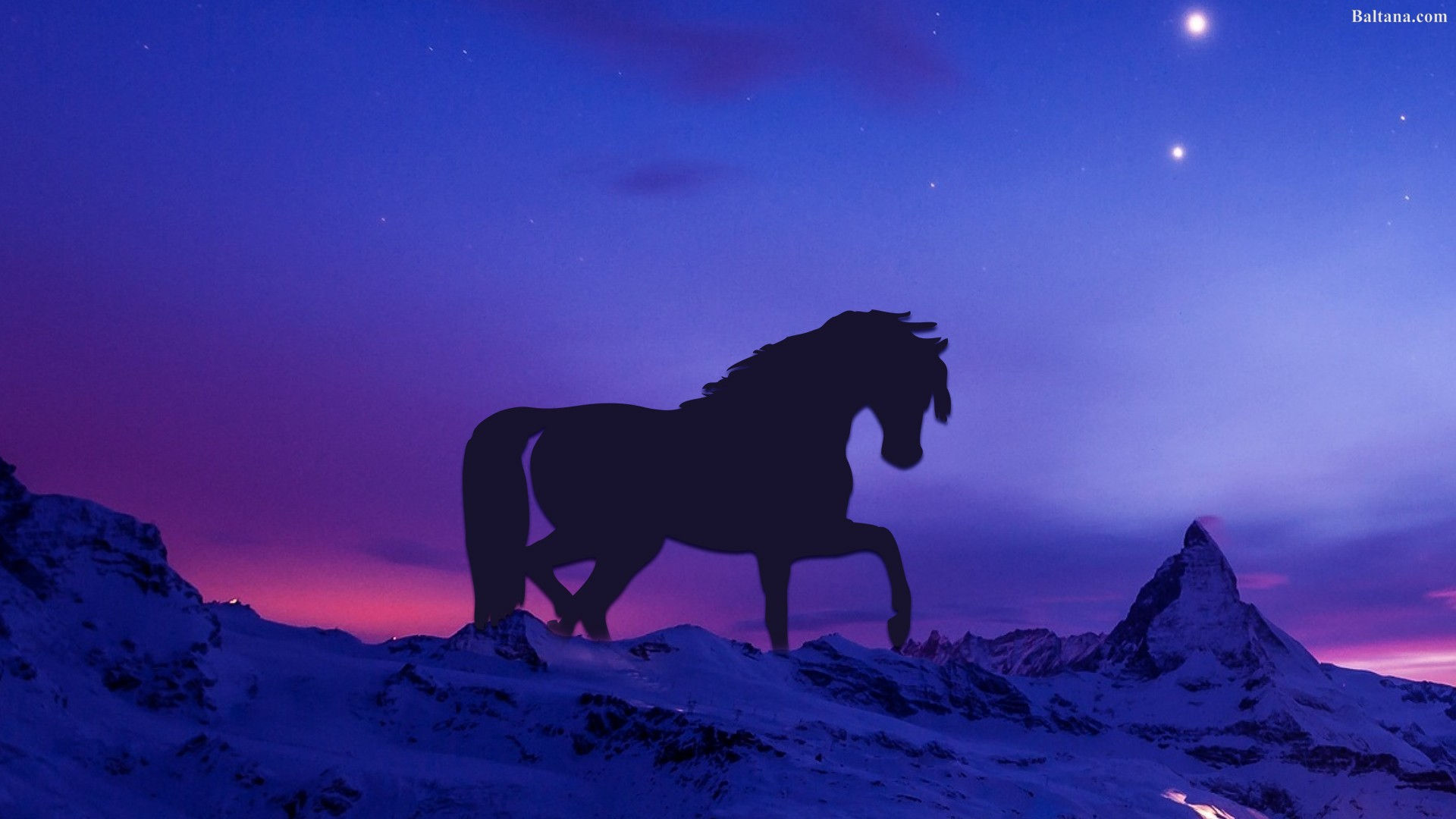 Wallpaper #th2FLJMBlOZrFDOkscqQ275 Horse HD Background Wallpaper 30518 Baltana