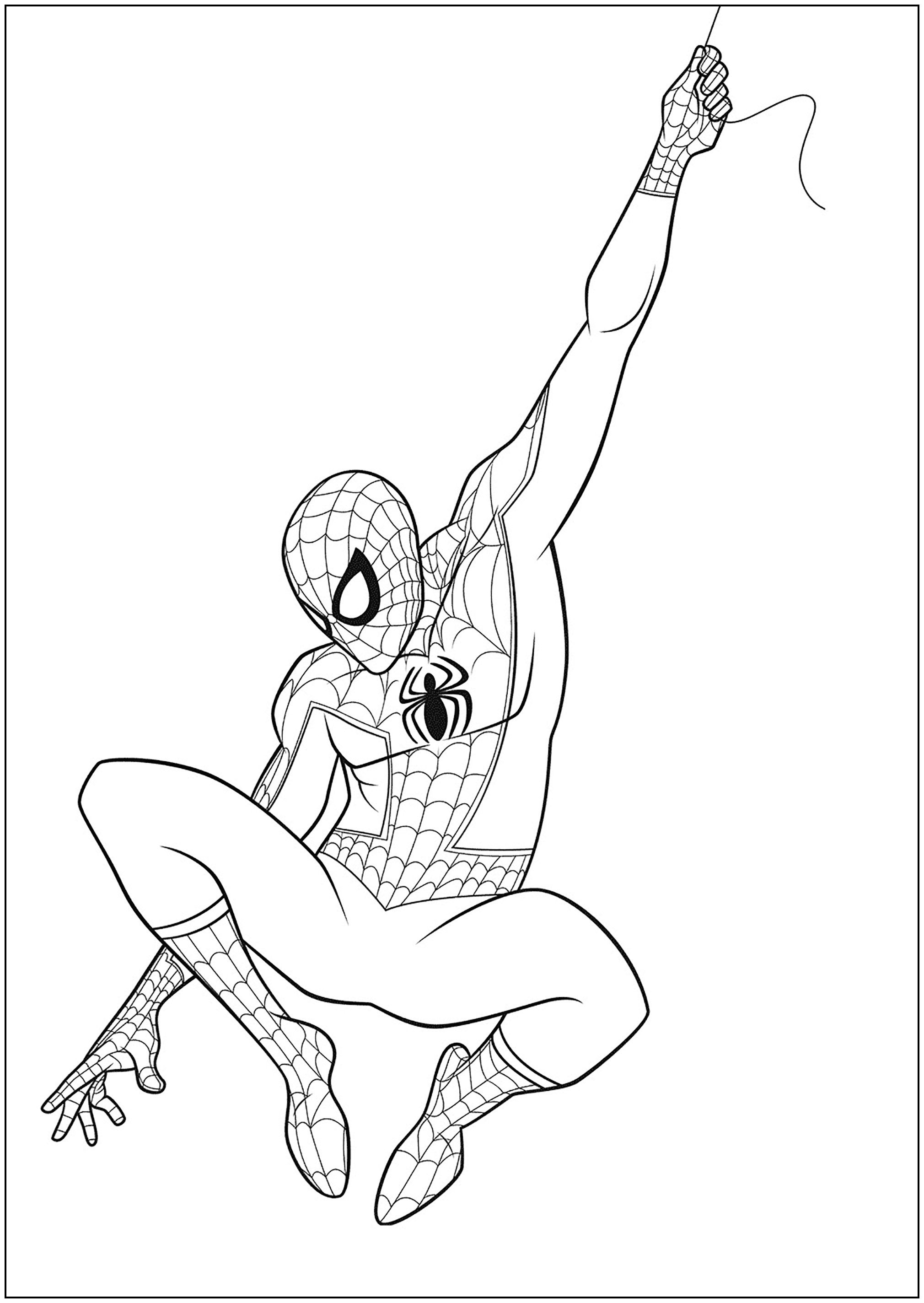 Wallpaper #A2jJIpMBSpphPi3-5TRQ421 Spider Man Peter Parker Coloriage Spider Man New Generation Pour