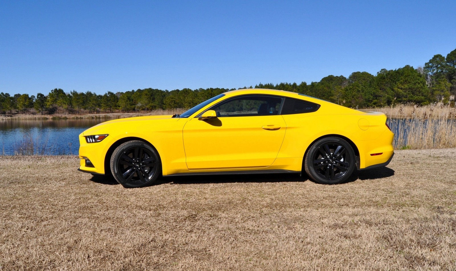 Wallpaper #PWfFDZMBSpphPi3-_OfY164 2015 Ford Mustang Ecoboost