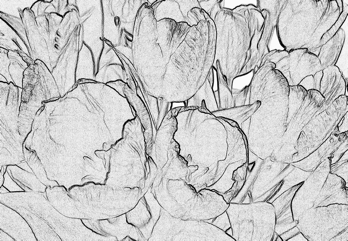 Wallpaper #3Gex85IBSpphPi3-v3Zj436 Secrets of Tulip on Behance