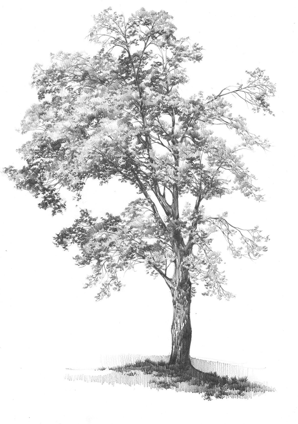 Wallpaper #BWgvFZMBSpphPi3-Zwec83 Pencil Landscapes Vol 1 Behance