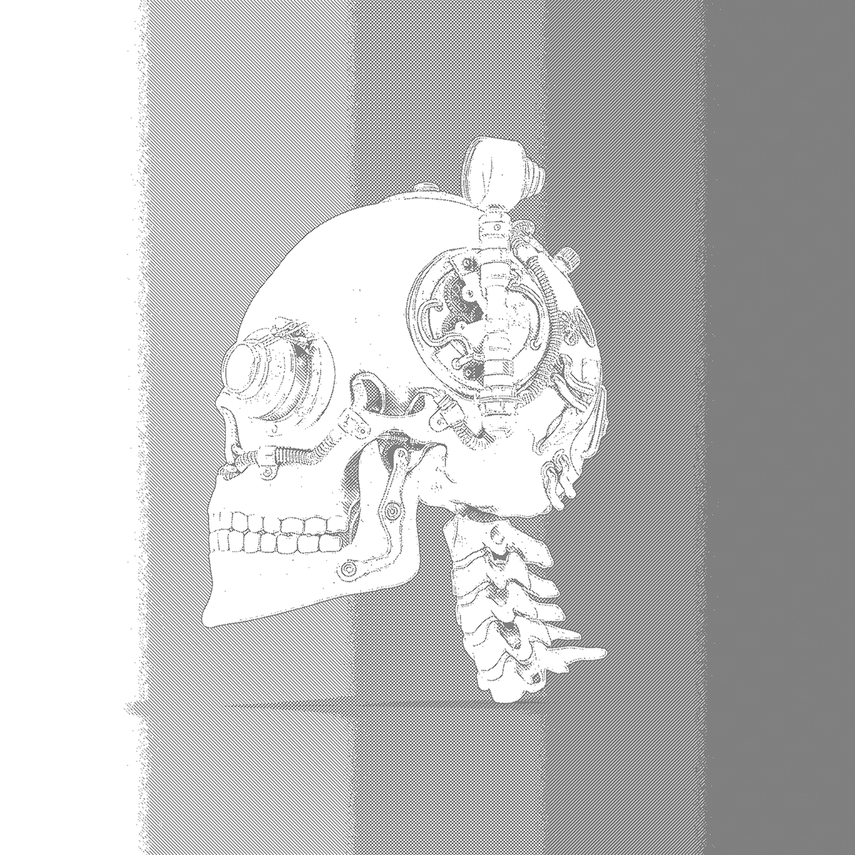 Wallpaper #4nPlf44BFI5NbQksLRcD43 Skulls Cyberpunk Digital Art on Behance