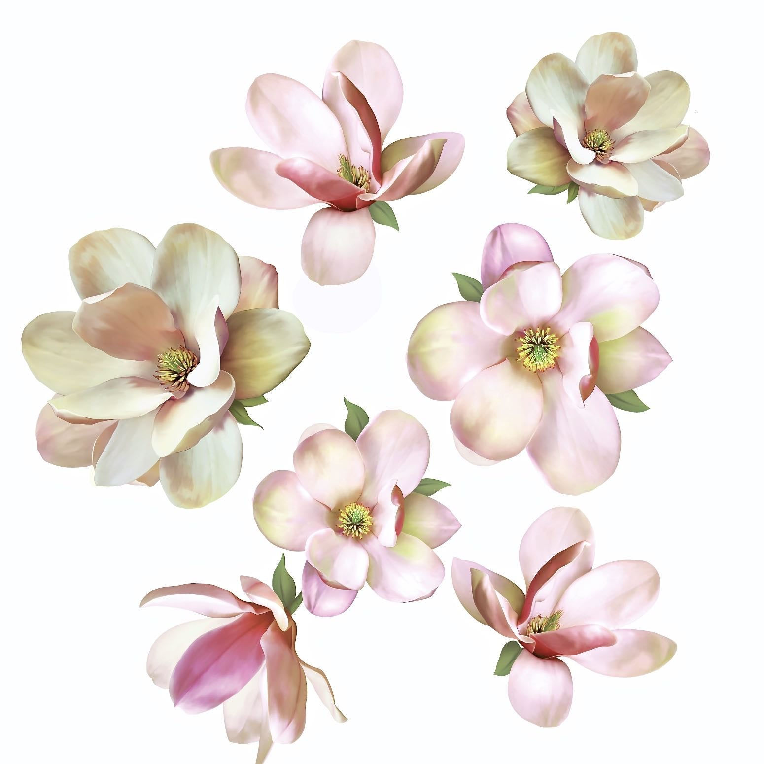 Wallpaper #NmjiIpMBSpphPi3-KzRu261 Large Magnolia Decals Flower Wall Decals Flower Wall Stickers Eco