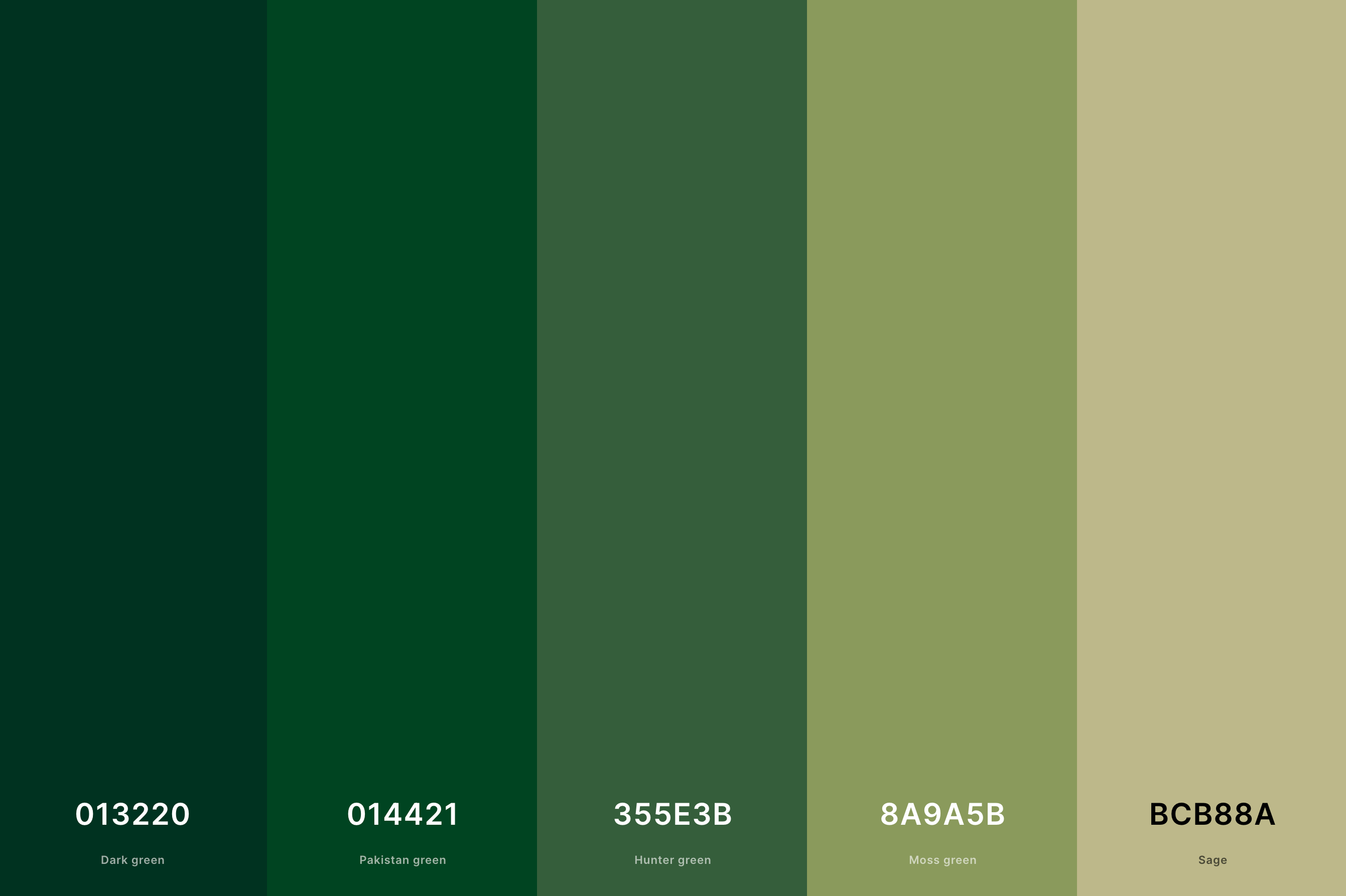 Wallpaper #60YXVZcBqAgmjOk2gV2U251 35 Best Green Color Palettes with Names and Hex Codes Creativebooster