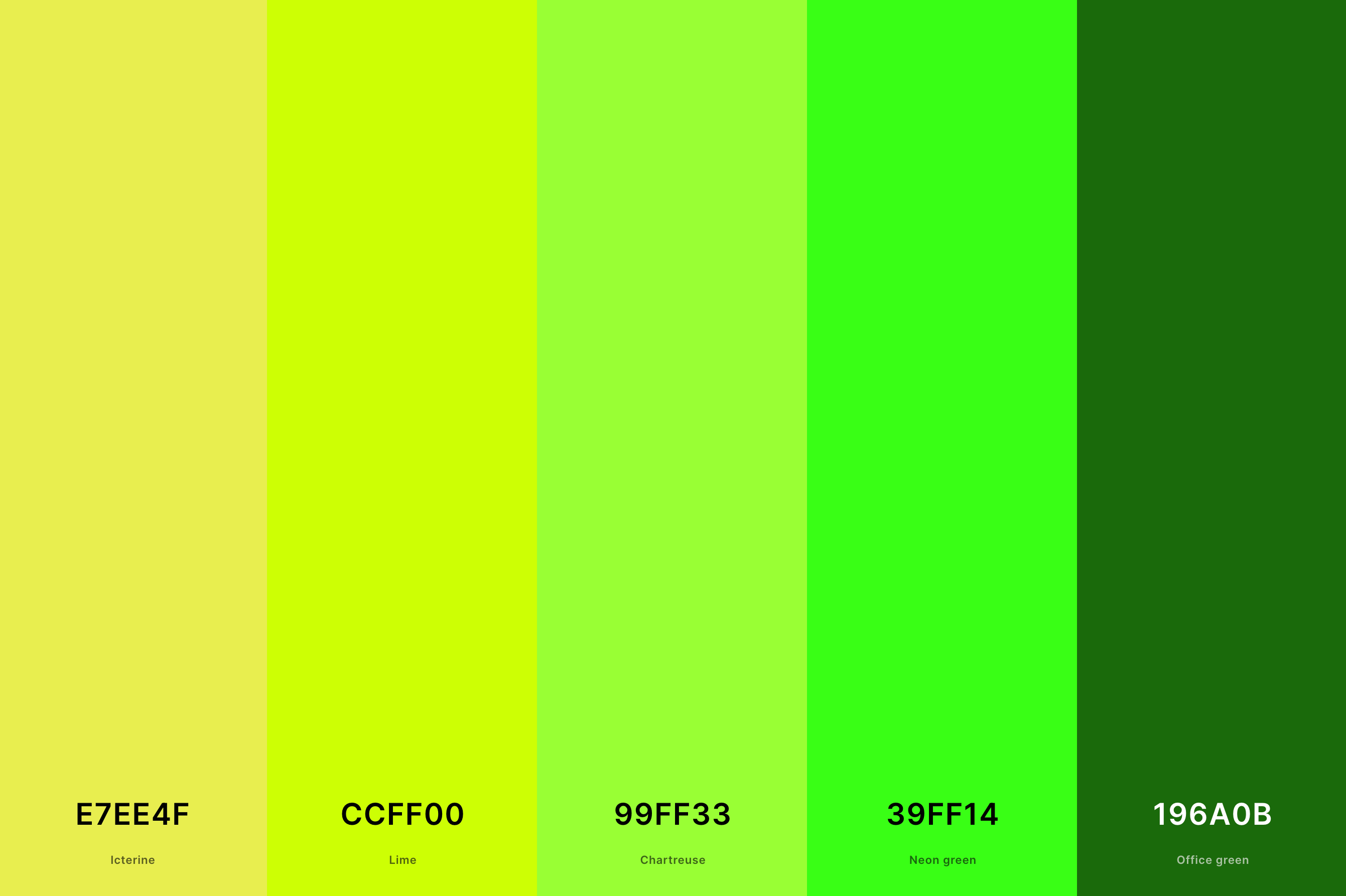 Wallpaper #60YXVZcBqAgmjOk2gV2U283 35 Best Green Color Palettes with Names and Hex Codes Creativebooster