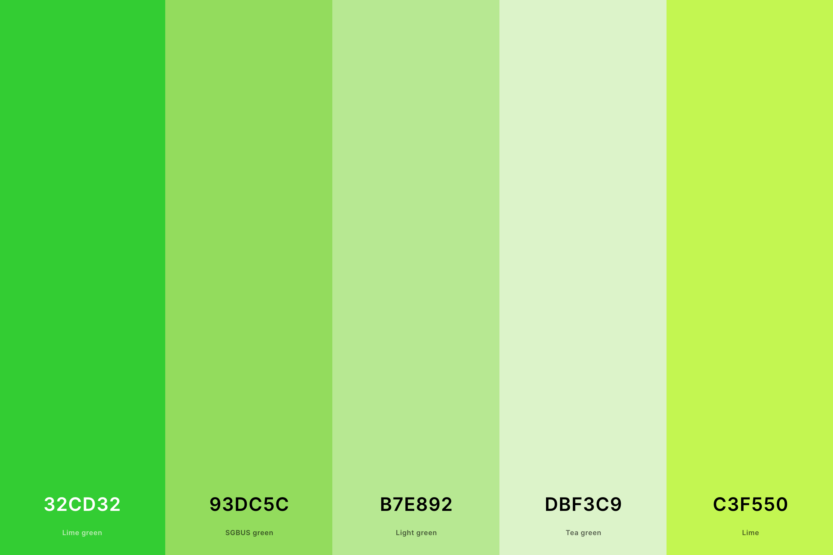 Wallpaper #60YXVZcBqAgmjOk2gV2U274 35 Best Green Color Palettes with Names and Hex Codes 2024