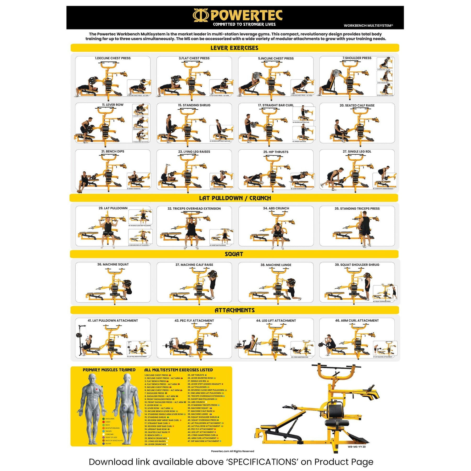 Wallpaper #FF7FB The Suspension Workout Chart Shows How to Do It and What You Can Do with It