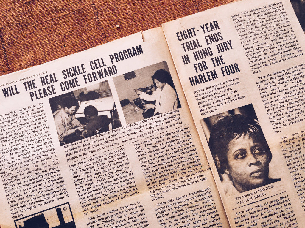Wallpaper #6d884 The Black Panthers Vanguard of the Revolution Documentary About