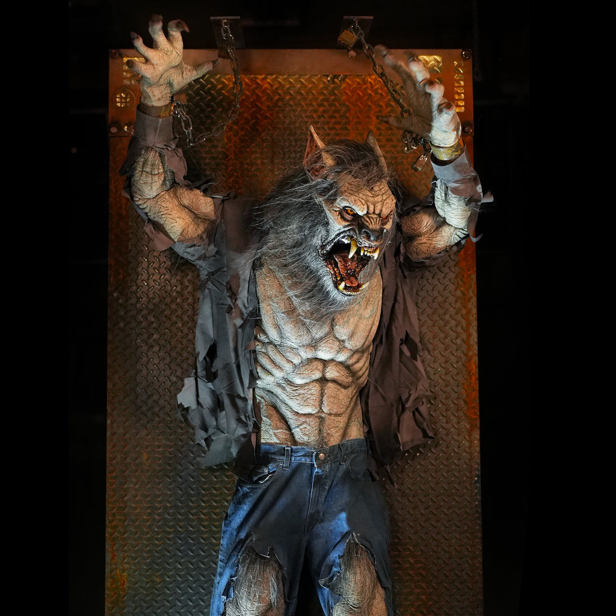 Wallpaper #-mhaFJMBSpphPi3-rAPx238 Scare Wolf Werewolf Animatronic Prop for Haunts and Halloween